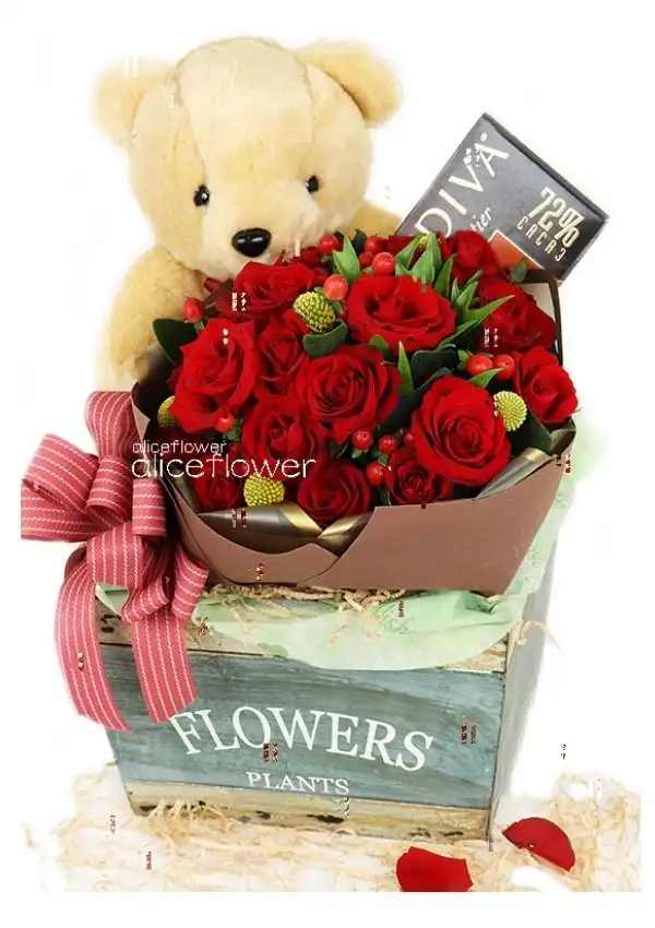 @[Chocolate],Bear hugging red rose
