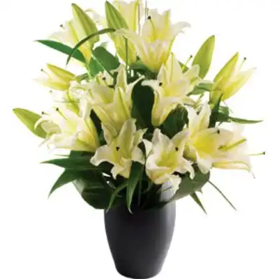 UK,Funeral Potted Flower