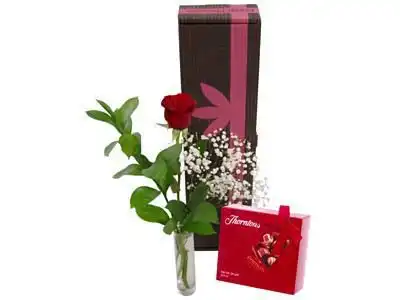 UK,Valentines Single Red Rose (Premium Pack)