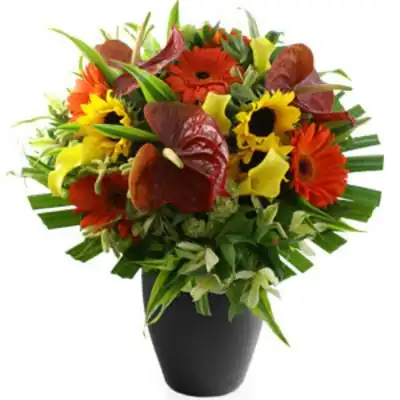 UK,Mothers Day Deluxe Potted Flower