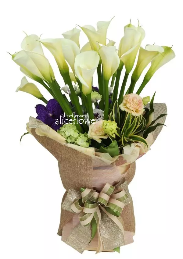 @[Calla lilies],Happy Thoughts