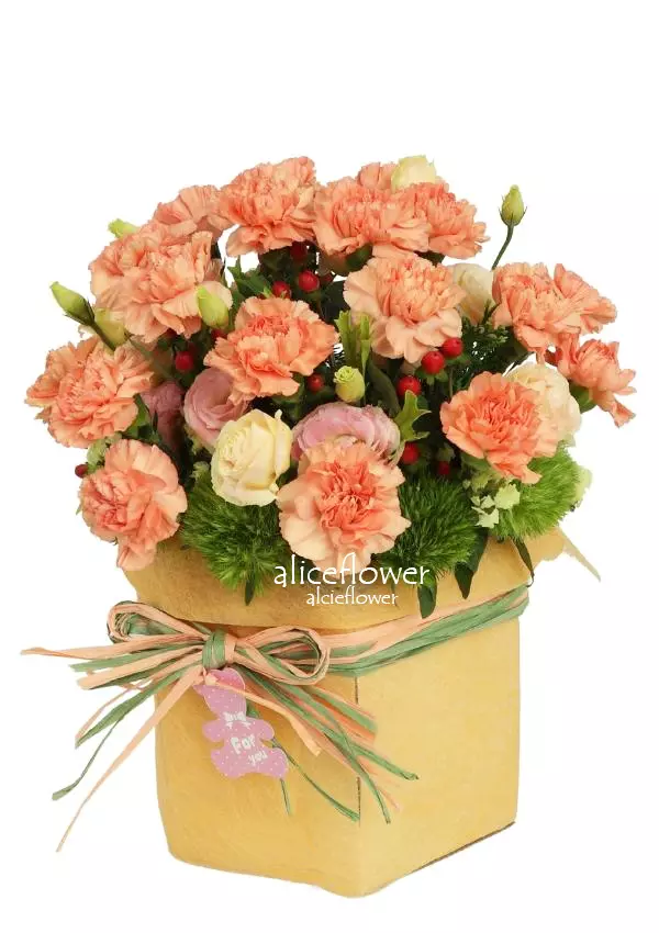 @[Floral Arranged],Elegant Charm