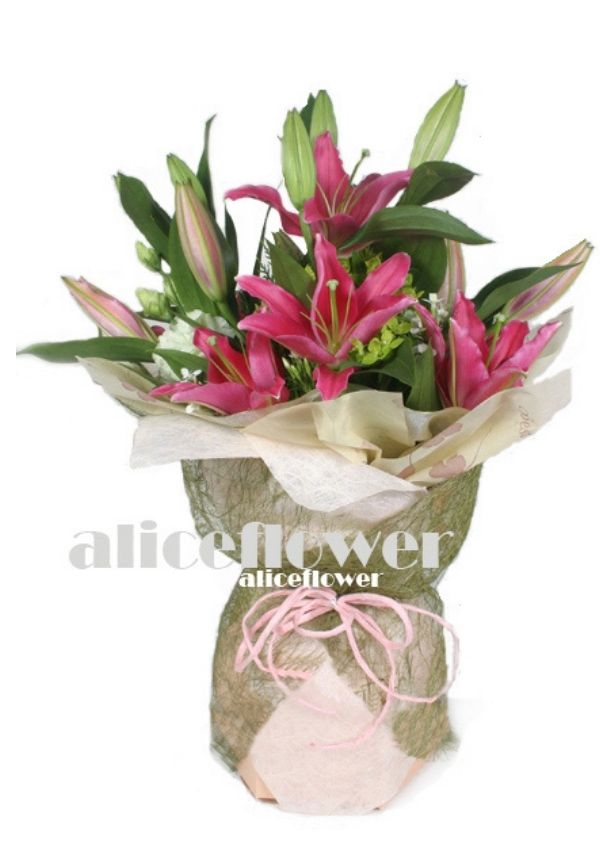 Mother´s Day Imported Carnation Bouquet,Happy movement