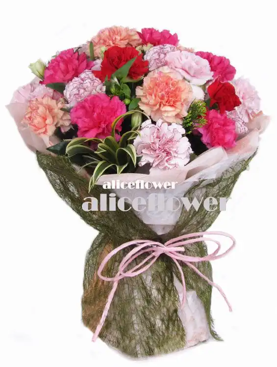 @[Mother´s Day Imported Carnation Bouquet],Vibrant Delight Mom