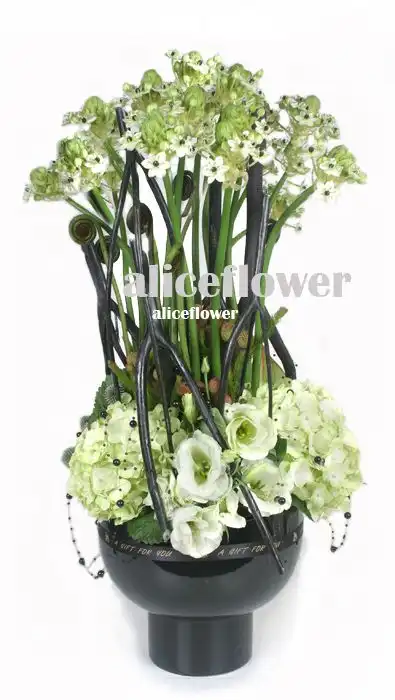 @[Floral Arranged],Green Unique