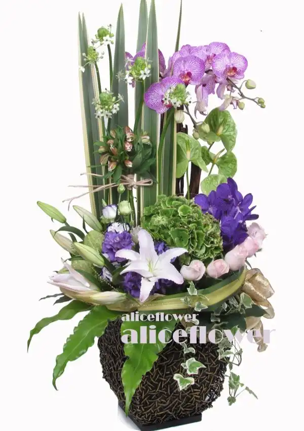 @[Lunar New Year Flower Arranged],Pink Elegance Special