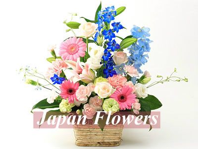 日本,新生兒桌上盆花