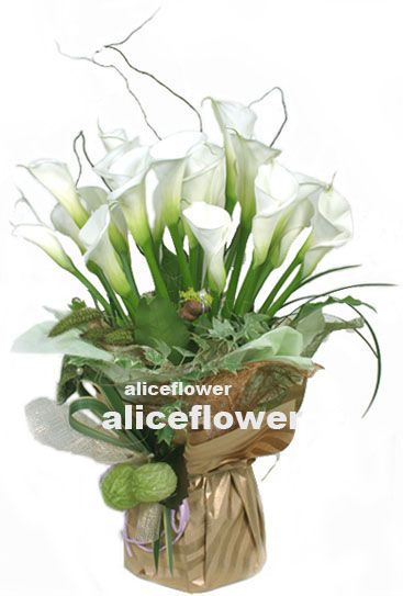 Bouquet in a Vox,Calla lily vox