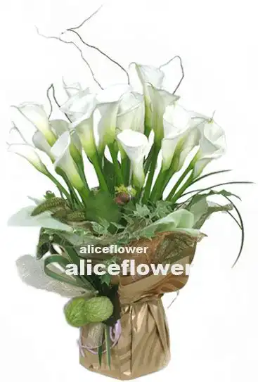 @[Bouquet in a Vox],Calla lily vox