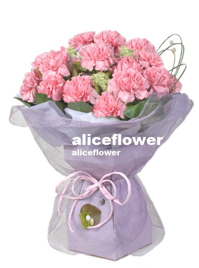 Mother´s Day Imported Carnation Bouquet,Pink Blossoms