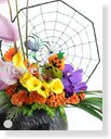 orchid Arranged flowers