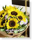 Summer’s Bouquet-Endless Blue Fashion,Alice Florist Taipei, Taiwan.