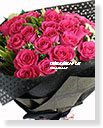 桃樂絲之歌桃色玫瑰花束