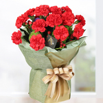 活力媽咪紅色康乃馨金鑽花束