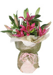 Lily,Happy movement