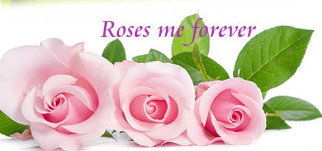 情人節送花, 進口玫瑰, 玫瑰花束, 台北愛麗絲花坊網路花店.