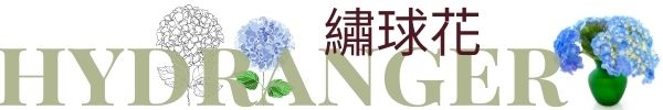 繡球花, 台北愛麗絲花坊網路花店