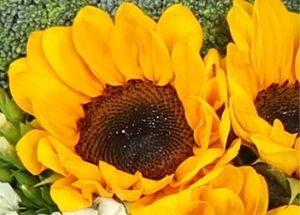 Sunflower, Alice Florist Taipei, Taiwan.-台北愛麗絲花坊. Alice Florist Taipei, Taiwan