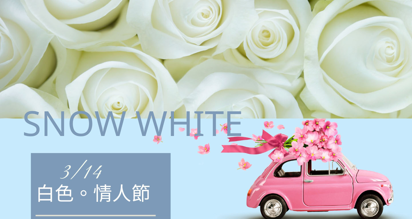 White Valentine Flowers