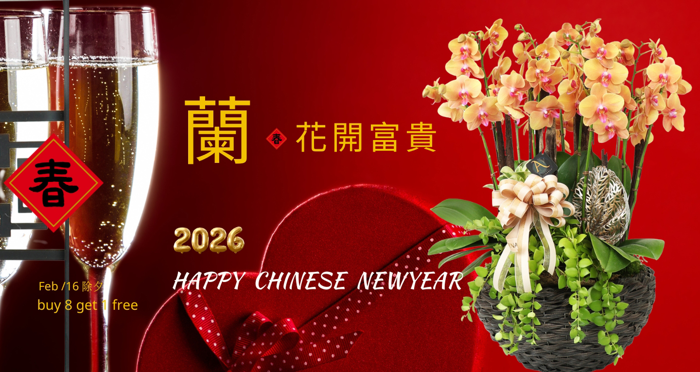 Lunar New Year Orchid Lunar New Year Orchid