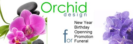 Birthday Orchids plants in Taipei, Taiwan. Alice Florist, Alice Florist Taipei, Taiwan.