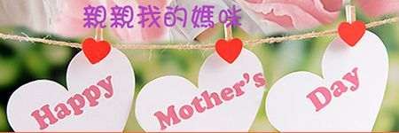 母親節進口康乃馨盆花, 台北愛麗絲花坊網路花店.