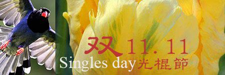 11.11 Singles´ Day Bouquets, Alice Florist Taipei, Taiwan..