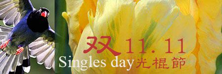 11.11 Singles´ Day Bouquets, Alice Florist Taipei, Taiwan.. 11.11 Singles´ Day Bouquets, Alice Florist Taipei, Taiwan..